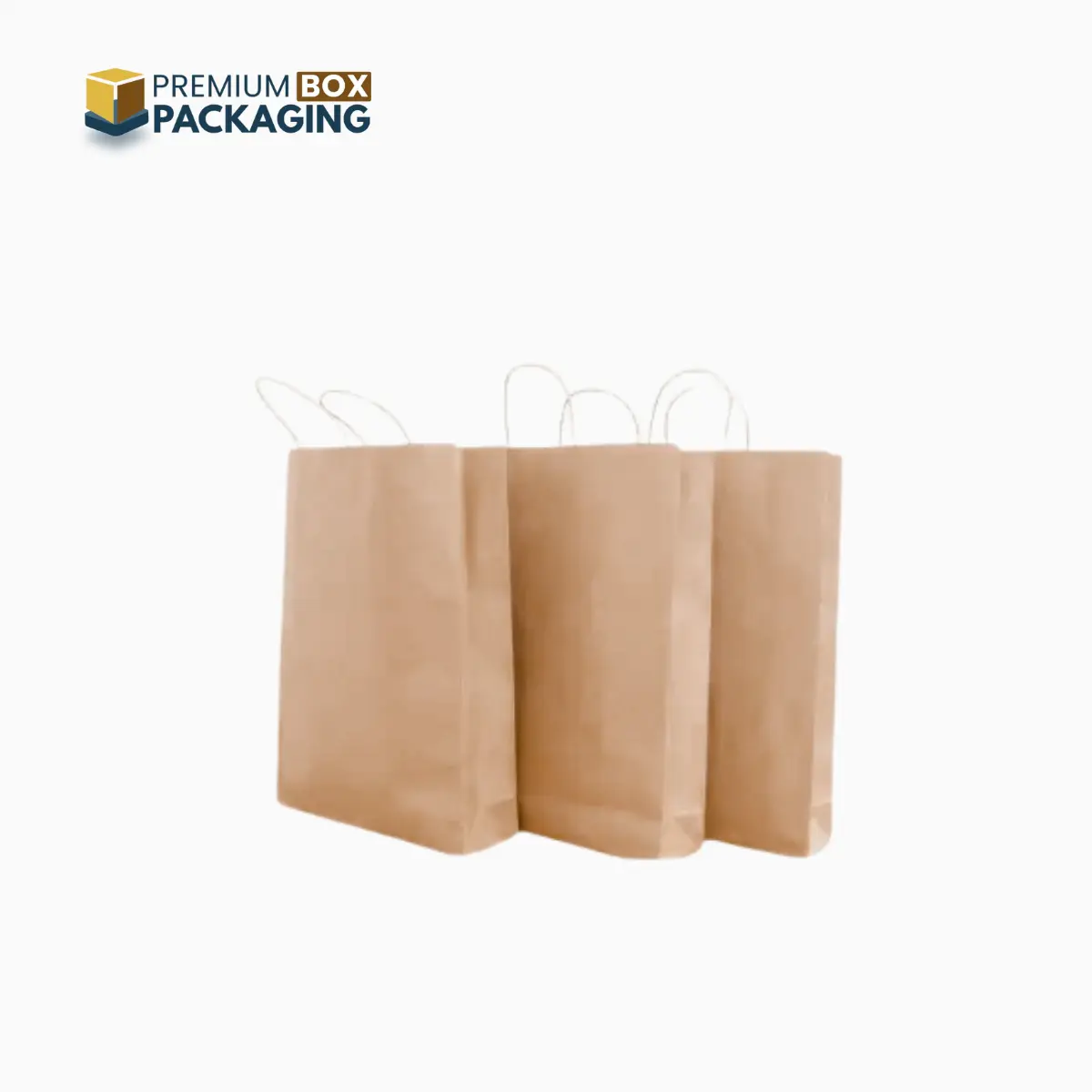 Custom Brown Paper Bags 4 - Premium Box Packaging